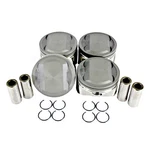 Dnj Engine Piston Set P194.20. Fixed Price $126.10.