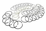 Omix-ada 17430.31 Piston Ring Kit Standard For 71-91 Jeep CHEROKEE/WAGONEER/J20. Fixed Price $64.95.