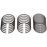 Engine Piston Ring Set Sealed Power E-641K. Fixed Price $95.99.