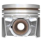 Ford F-250 Super Duty 2008-2010 Mahle S224-3666 Piston. Fixed Price $89.83.