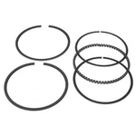 Victor 41411 Engine Piston Ring. Fixed Price $141.25.