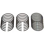 Sealed Power Performance Piston Ring Set E-925K30. Fixed Price $117.98.