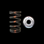 Brian Crower BC0600S Valve Spring & Steel Retainer Kit For 2005 Saab 9-2X Aero. Fixed Price $195.00.
