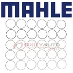 Mahle 42146CP Engine Piston Ring Set For Cylinder Block Zq. Fixed Price $179.30.