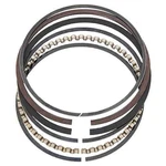 Total Seal T3690-65 Gapless TS1 Race Piston Ring Set. Fixed Price $386.92.