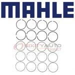 Mahle 42077CP Engine Piston Ring Set For E973KC 2C5158 Cylinder Block Tl. Fixed Price $111.24.