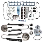 Ford F-150 Expedition 2005-06 5.4L Timing Chain Kit Head Gasket Set SL1000. Fixed Price $235.64.