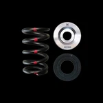 Brian Crower BC0650 Spring & Retainer Kits. Fixed Price $404.95.