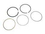 Delco Piston Ring Fits Cadillac Escalade Esv 2007-2010 72ZVHNCQ. Fixed Price $35.78.