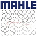 Mahle 40723CP Engine Piston Ring Set For PEM6606 E292K 9019KX 2M6606 19292K Ef. Fixed Price $212.09.