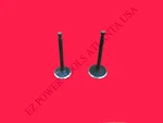 Generac Centurion 389CC 420CC Gas Engine Equipment Intake Exhaust Valve Set. Fixed Price $19.99.