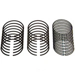 Engine Piston Ring Set-vin: R, Vortec Sealed Power E-921K 20. Fixed Price $99.95.