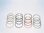 Total Seal TS1 Street And Race Piston Rings T3690-5. Fixed Price $239.80.