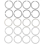 42101CP Mahle Piston Ring Sets For Chevy Chevrolet Impala Buick Regal Canyon. Fixed Price $71.00.