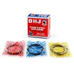 Dnj PR1160 Piston Rings Standard Size For 2003-2008 Chrysler, Dodge, Jeep 300.... Fixed Price $122.61.