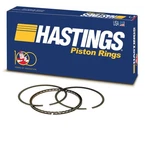 Hastings 139030 Engine Piston Ring. Fixed Price $38.97.