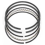 Total Seal CS9190-255 Conventional Ap Piston Ring Set. Fixed Price $375.68.