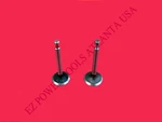 Honeywell 208CC 196CC Gas Engine Generator Equipment Exhaust Intake Valve Set. Fixed Price $17.99.