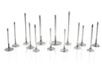 Ferrea F6052 Intake Valve For 1990-2009 Mitsubishi 4G63T 2.0L. Fixed Price $205.95.