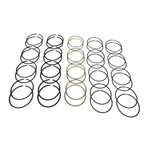 Sealed Power Performance Piston Ring Set E-296K20. Fixed Price $120.98.