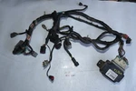 1999-2001 Ford Mustang V6 Ccrm Wiring Harness Oem 3.8L Ff. Fixed Price $100.00.