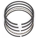 Mahle Oe 42108CP.020 Rings Fits Chrysler / Dodge Trk 5.7L Hemi Eagle Eng. Fixed Price $119.99.