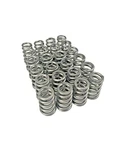 Manley Fits Toyota Supra 2JZGT/2JZGTE 6 Cyl. Conical Ovate Wire Springs. Fixed Price $351.33.