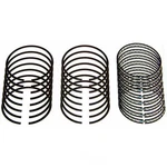 Piston Ring Set Sealed Power E233X. Fixed Price $74.58.