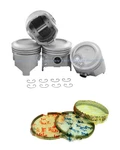 Fits: 83-84 Toyota Celica Pickup 2.4L 22R Sohc 8V Pistons Kit And Rings Set. Fixed Price $169.95.