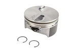 19208471 Engine Piston Kit. Fixed Price $98.24.