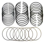 Crown Automotive 5159661AA Piston Ring Set. Fixed Price $195.63.